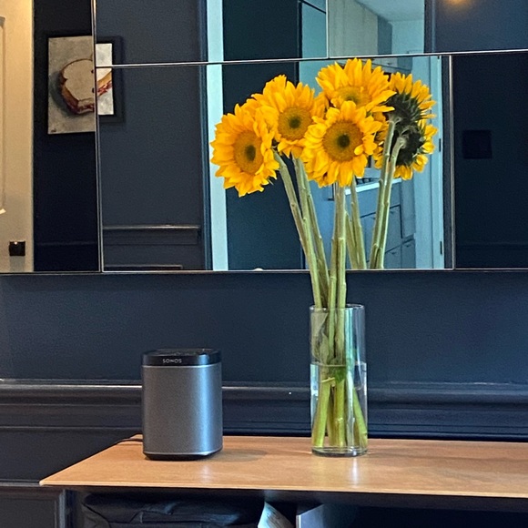 Meet your Posher, Bianca - Picture 1 of 1